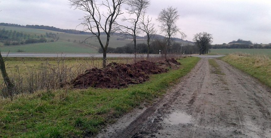 Bild: Abgeladen