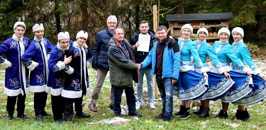 Bild: Baum gepflanzt