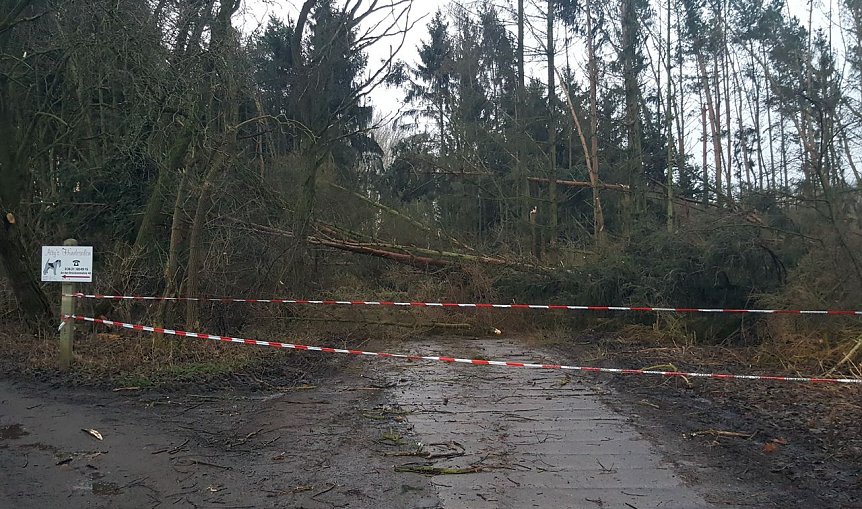 Bild: Hier w&uuml;tete Friederike