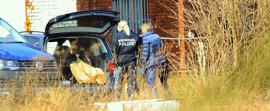 Bild: Hier werden die Pflanzen abtransportiert