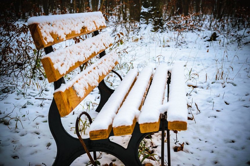 Bild: Winterliches Intermezzo
