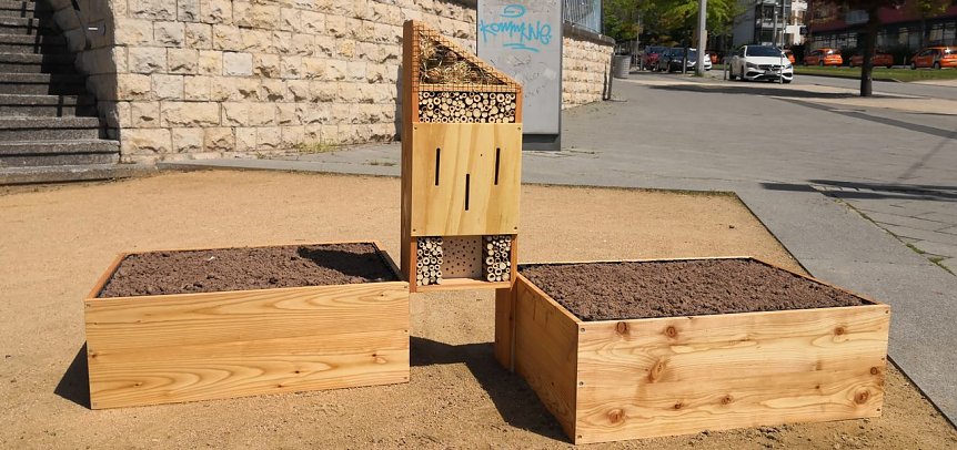 Bild: Blumenhochbeet-Insektenhotel-Kombination am Lesser-Platz