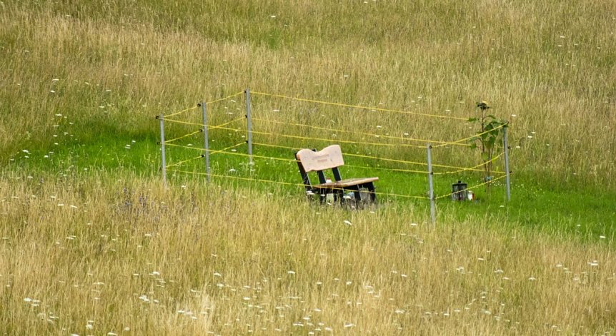 Bild: Wetterbild