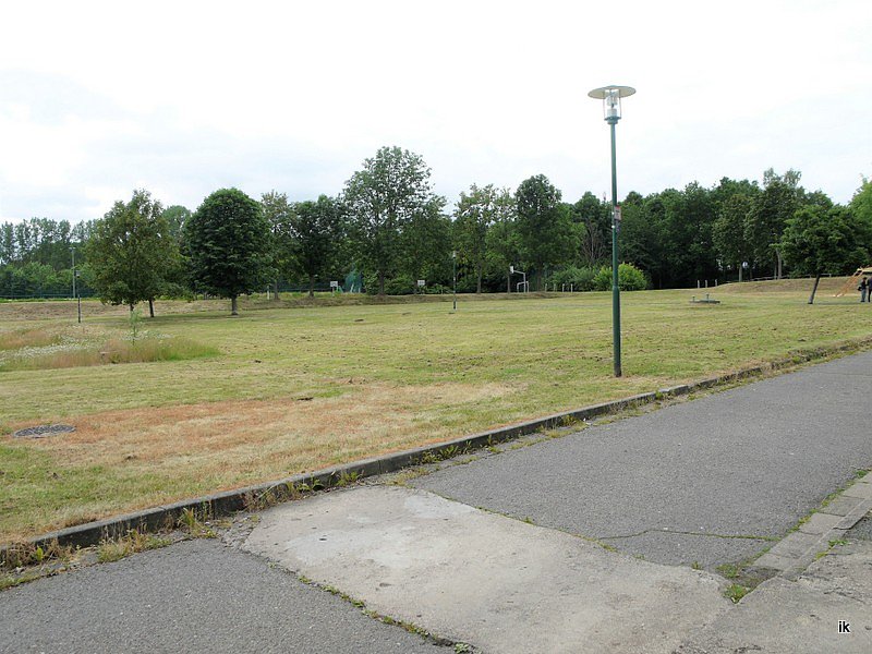 Bild: Wiese