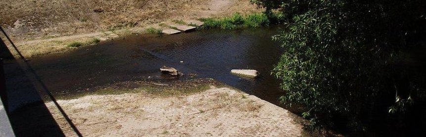 Bild: Die Zorge im Sommer 2018