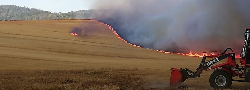 Bild: Brand eines Getreidefeldes