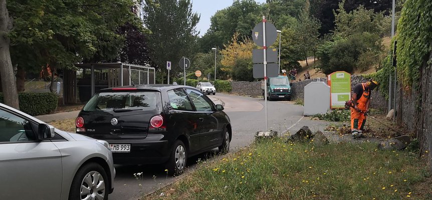 Bild: Wildwuchs wird beseitigt