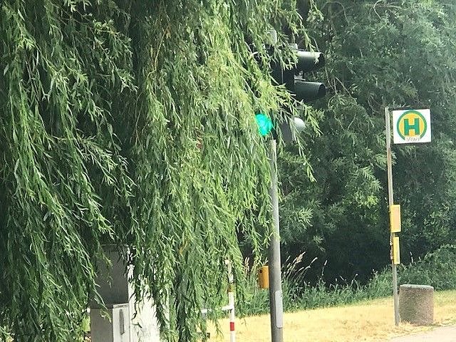 Bild: Ampel verdeckt