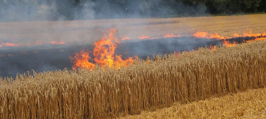 Bild: Feldbrand bei Hesserode