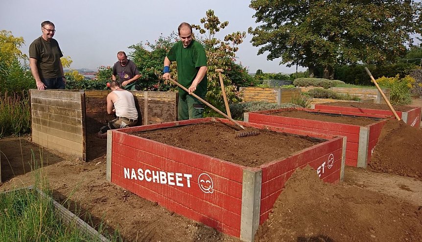 Bild: Naschbeete auf dem Petersberg