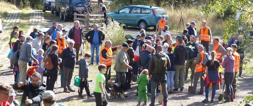 Bild: Auf gehts im Ellricher Stadtwald