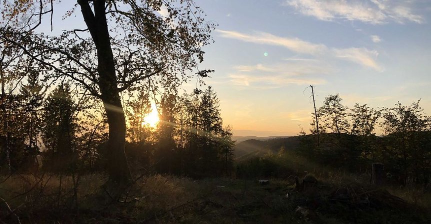 Bild: Im Landkreis Nordhausen unterwegs