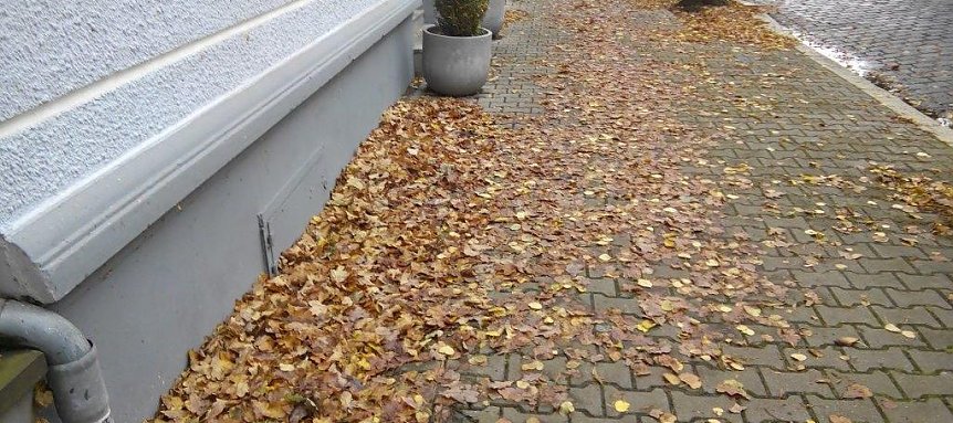 Bild: Glitschiges Laub ist eine Gefahr