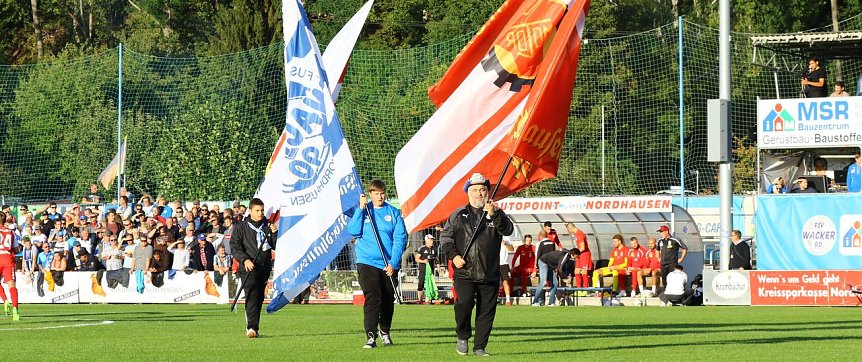 Bild: Die Fans wollen mitbestimmen