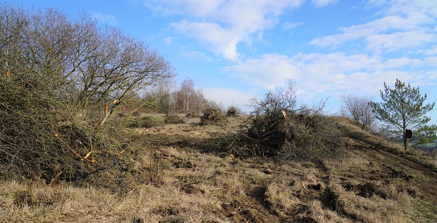 Bild: B&uuml;sche und Hecken wurden entfernt. 