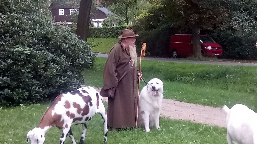 Bild: Der Sch&auml;fer
