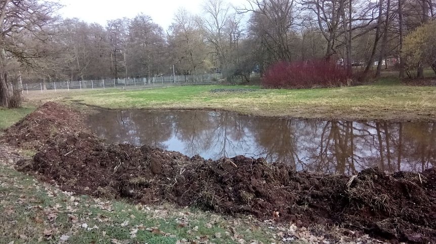 Bild: Aktivit&auml;ten im Stadtpark. Was sich einst ein kluger Kopf ausdachte, soll nun endg&uuml;ltig und dauerhaft Bestand haben: Ein Lebensraum f&uuml;r Fr&ouml;sche, Kr&ouml;ten, Libellen. Im Hintergrund rechts ist der aufgeschichtete Steinhaufen zu sehen, auf dem sich die Amphibien sp&auml;ter einmal aufw&auml;rmen k&ouml;nnen.