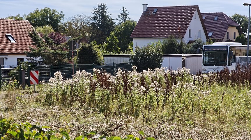 Bild: Umleitung mit Blick auf Biotop