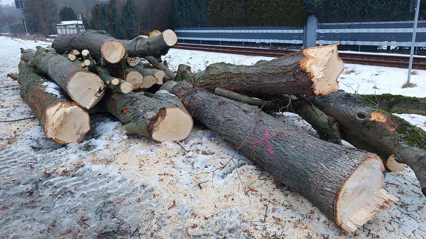 Bild: 