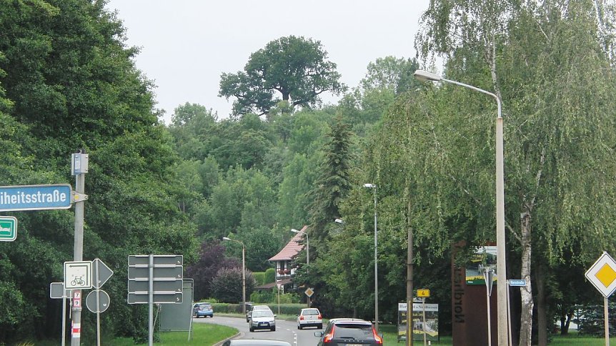 Bild: 
