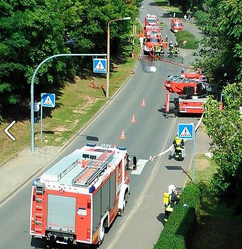 Bild: Brand Borntal