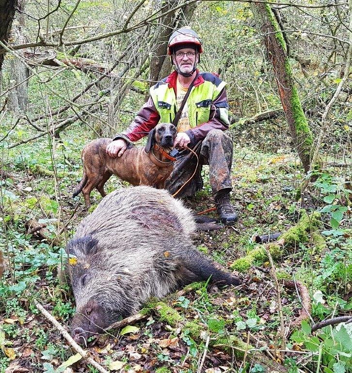 Bild: Ulrich Tischer erlegte einen angeschossenen Keiler, den seine Schwei&szlig;h&uuml;ndin aufsp&uuml;rte. Ein Fangschuss erl&ouml;ste ihn von seinen Qualen. Was soll bei diesem Anblick widerlich sein? Es ist die Realit&auml;t, weidgerecht