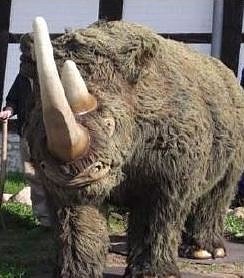 Bild: wllnashorn