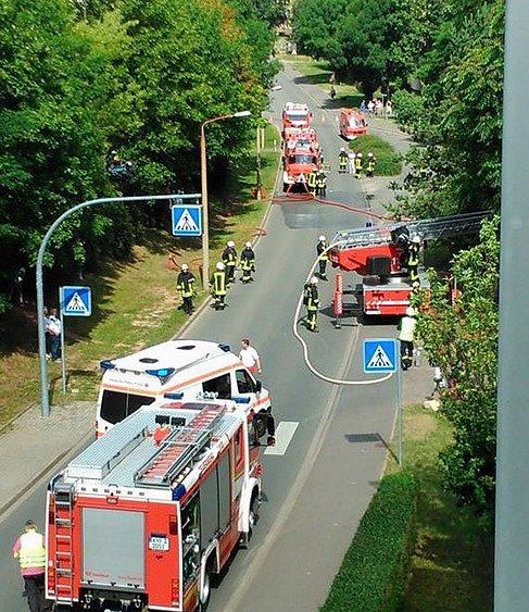 Bild: Brand Borntal