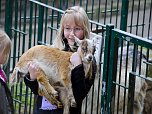 Besuch im Zoo (Foto: Blitzlicht-Nordhausen.de)