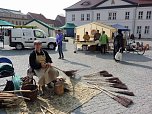 Frische-Markt mit gutem Start (Foto: Karl-Heinz Herrmann)