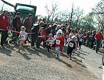 Bambini-Lauf (Foto: Karl-Heinz Herrmann)