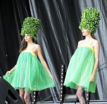 Flower Power beim Rolandsfest (Foto: Karin Lehmann, Peter Blei)