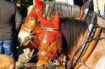 157. Kirmes in Wülfingerode (Foto: Bernd Peter)