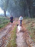 Herbstwanderung des Sondershäuser Hundevereins (Foto: Privat)