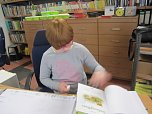 Projekt Bibliothek (Foto: Bibliothek)