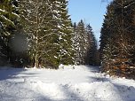 Eine Waldschneise bei Benneckenstein (Foto: Peter Blei) Eine Waldschneise bei Benneckenstein (Foto: Peter Blei)