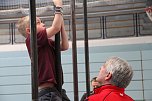 14. Kindergartensporttag in der Wiedigsburghalle (Foto: Angelo Glashagel)