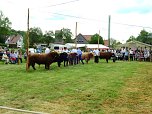 4. Jungtierschau in Neustadt (Foto: Peter Blei)