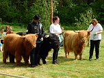 4. Jungtierschau in Neustadt (Foto: Peter Blei)