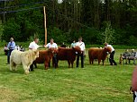 4. Jungtierschau in Neustadt (Foto: Peter Blei)