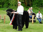 4. Jungtierschau in Neustadt (Foto: Peter Blei)