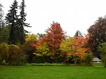 Herbstliche Impressionen (Foto: Peter Blei)