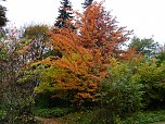 Herbstliche Impressionen (Foto: Peter Blei)