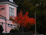 Herbstliche Impressionen (Foto: Peter Blei)