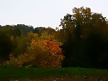 Herbstliche Impressionen (Foto: Peter Blei)