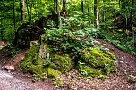 Ausflug zur Burgrunie Hohnstein (Foto: Gernot Thelemann)