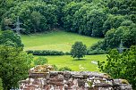 Ausflug zur Burgrunie Hohnstein (Foto: Gernot Thelemann)