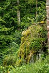 Ausflug zur Burgrunie Hohnstein (Foto: Gernot Thelemann)