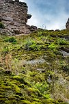 Ausflug zur Burgrunie Hohnstein (Foto: Gernot Thelemann)