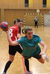 Handball (Foto: U.Tittel)